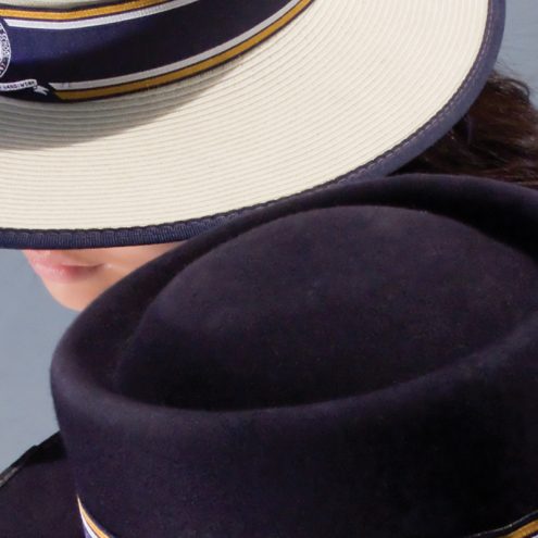 Pulteney Grammar School